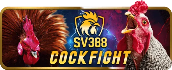 Tỷ lệ thắng cao và cơ hội trúng Jackpot tại rr88 nhà cái